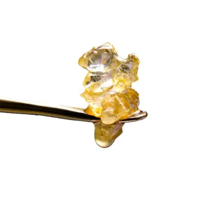 Alternative view of KING LOUIS XIII | 1G | INDICA